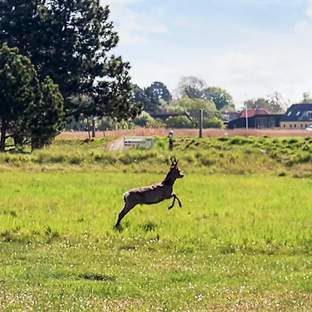 בית נופש 5 Person In Karrebæksminde